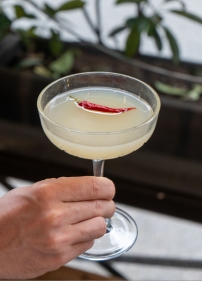 dion cocktail bar